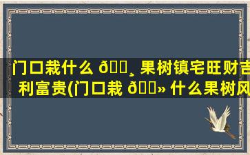门口栽什么 🌸 果树镇宅旺财吉利富贵(门口栽 🌻 什么果树风水好呢)